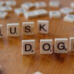 Elon Musk Kristi Noem